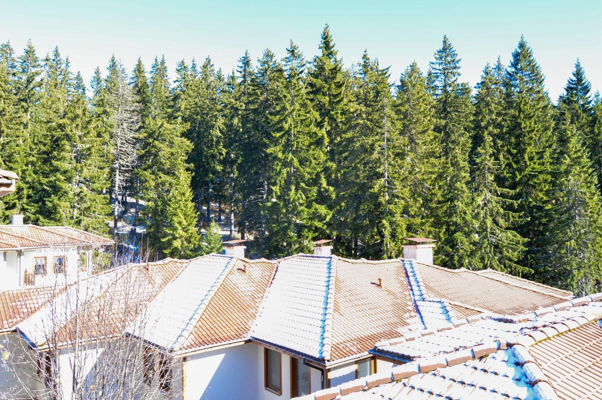 Myplace Pamporovo Апартаменти За Отдих Ngoại thất bức ảnh