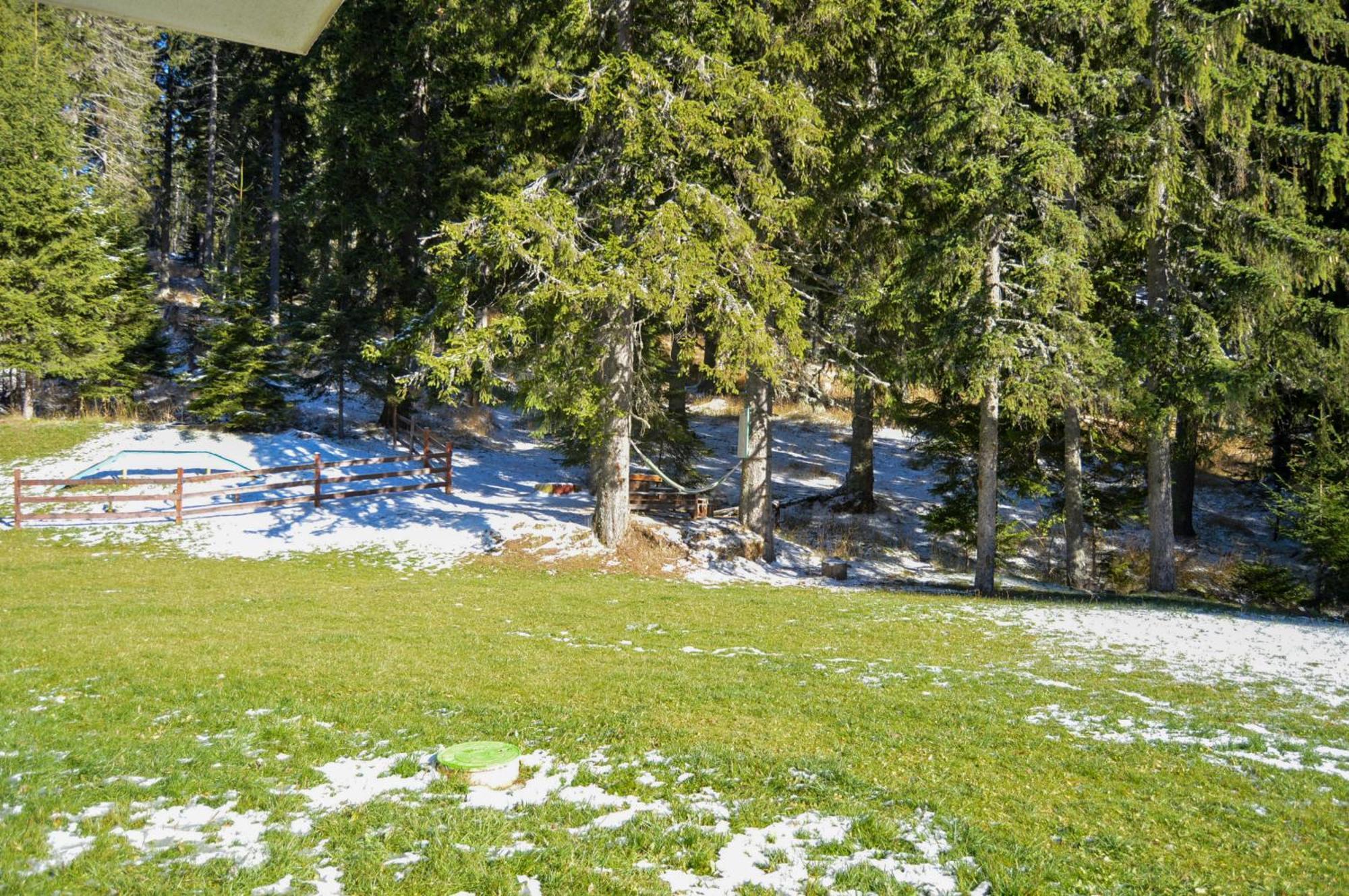 Myplace Pamporovo Апартаменти За Отдих Ngoại thất bức ảnh